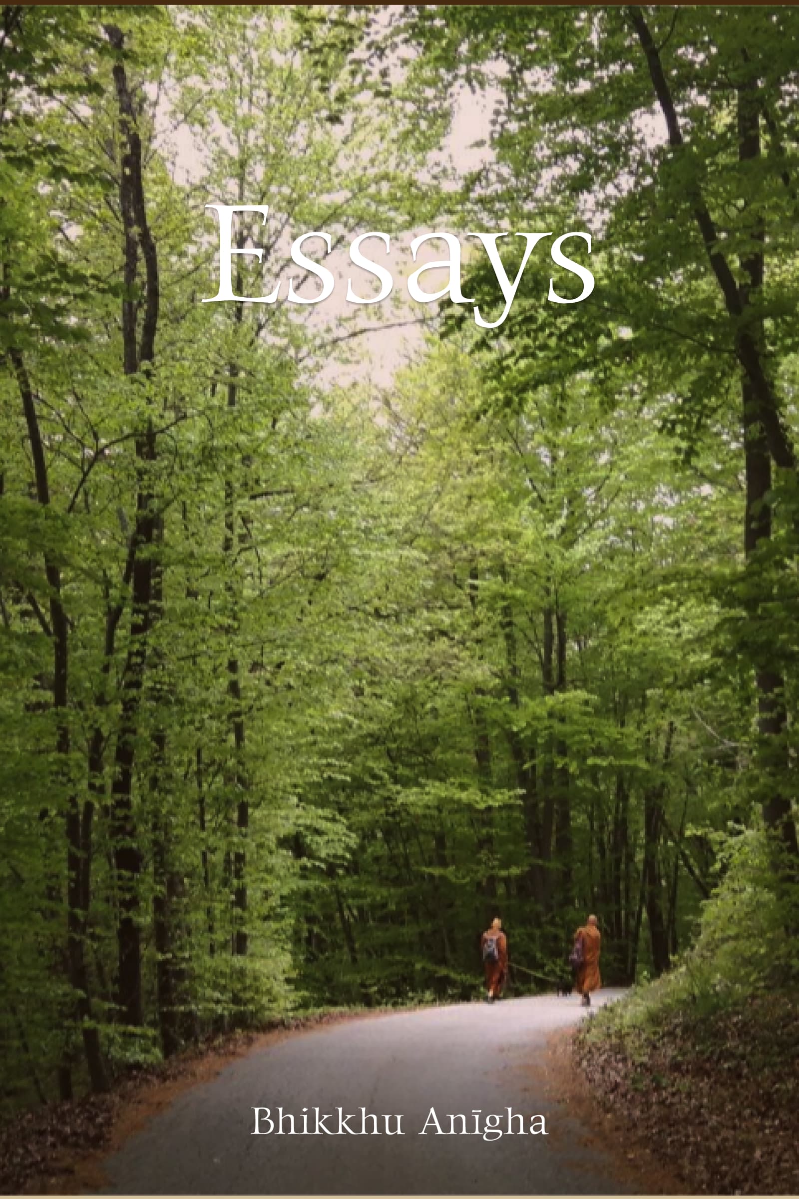 Cover of Essays